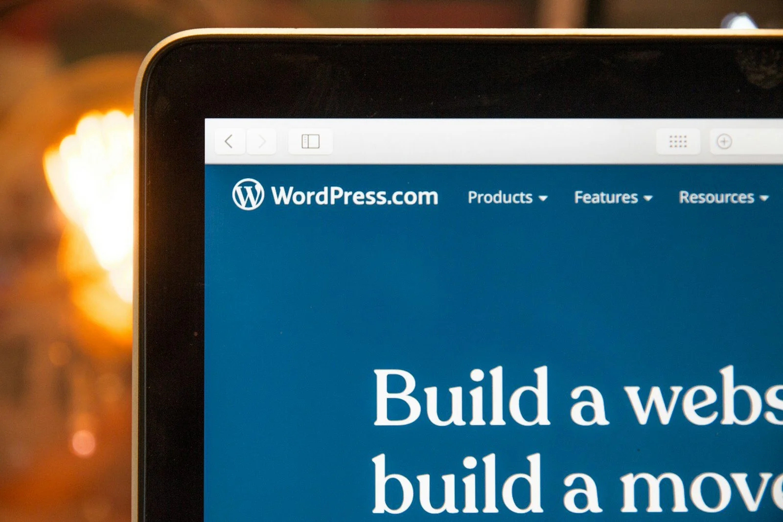 Monitor showing WordPress admin for site maintenance